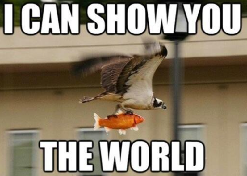 I CAN SHOW YOU THE WORLD