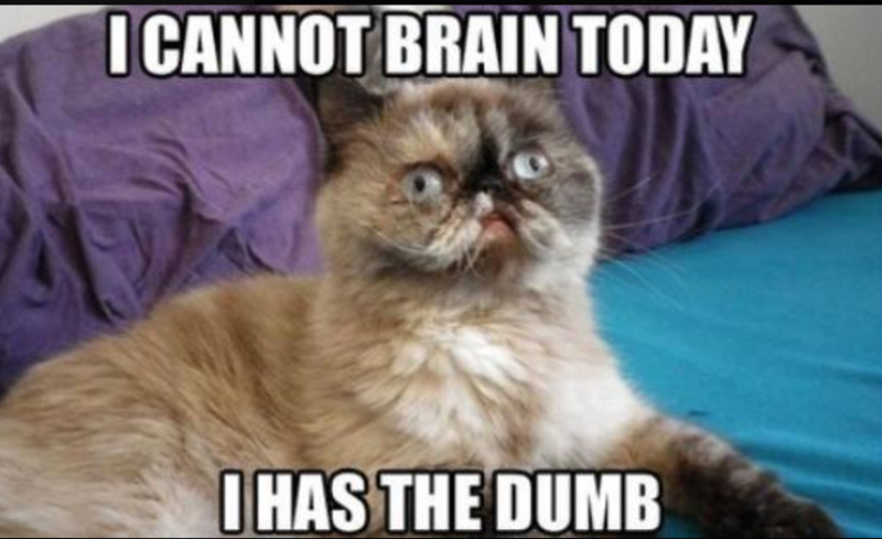 I CANNOT BRAIN TODAY I HAS THE DUMB