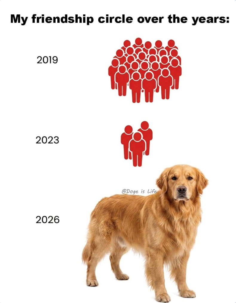 My friendship circle over the years: 2019 2023 2026 @Doge is Life