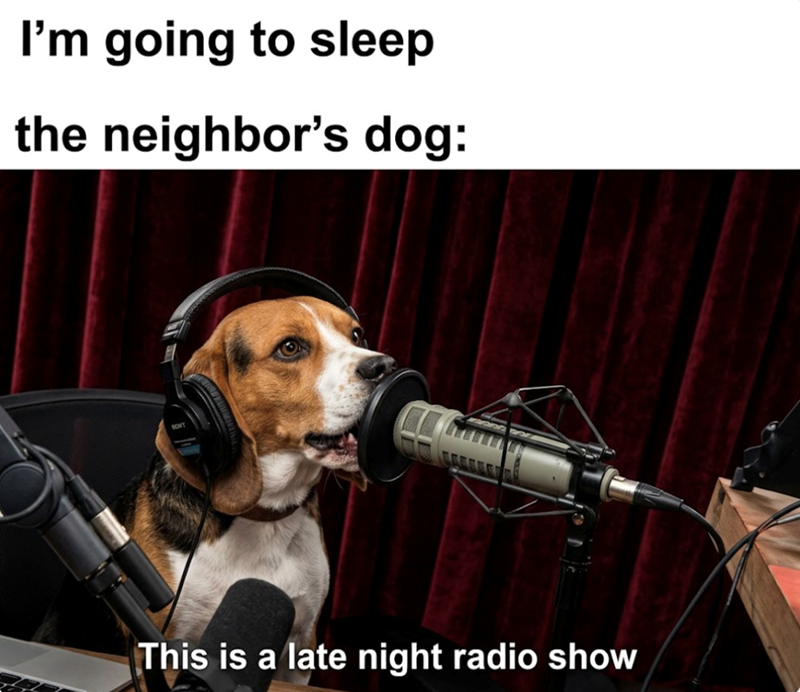 I'm going to sleep the neighbor's dog: SONT This is a late night radio show