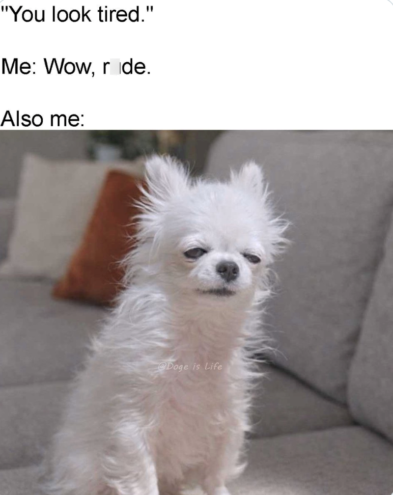 "You look tired." Me: Wow, ride. Also me: @Doge is Life