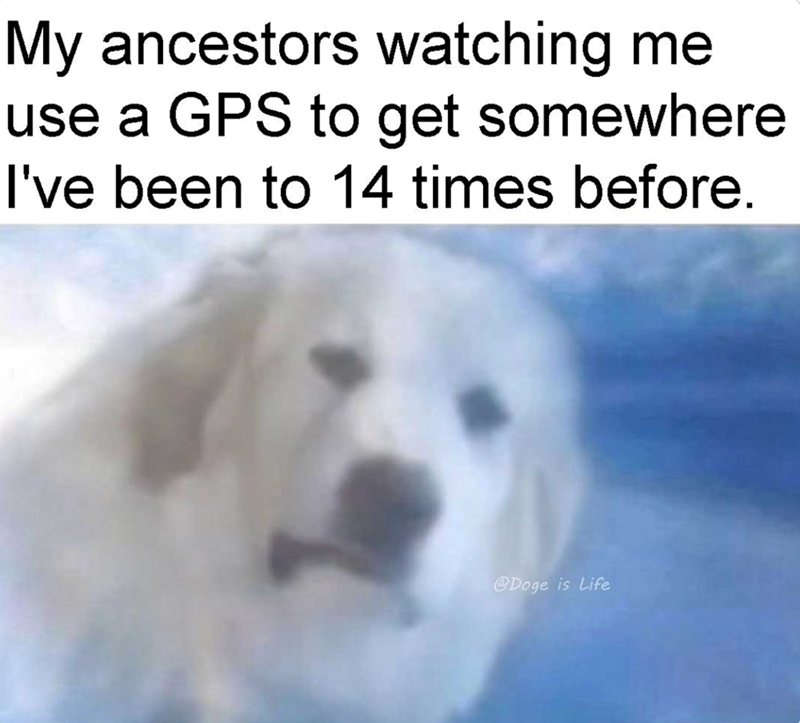 My ancestors watching me use a GPS to get somewhere I've been to 14 times before. @Doge is Life