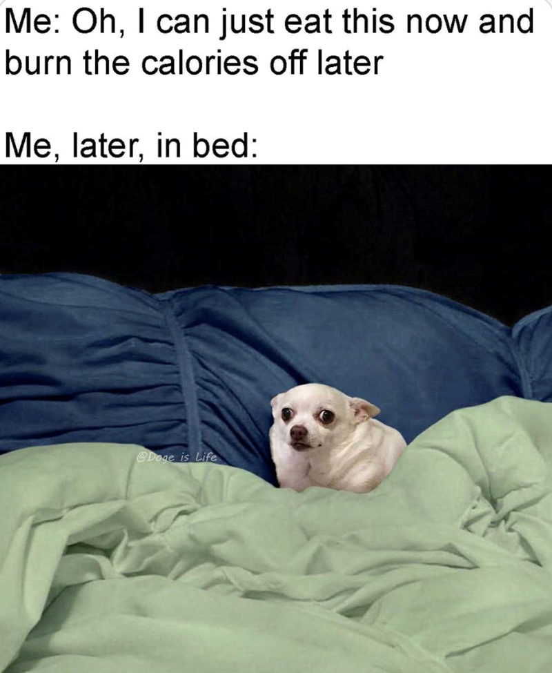 Me: Oh, I can just eat this now and burn the calories off later Me, later, in bed: @Doge is Life