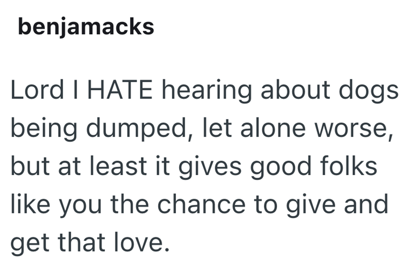 benjamacks Lord I HATE hearing about dogs being dumped, let alone worse, but at least it gives good folks like you the chance to give and get that love.