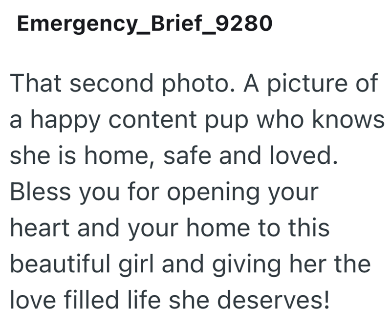 Emergency_Brief_9280 That second photo. A picture of a happy content pup who knows she is home, safe and loved. Bless you for opening your heart and your home to this beautiful girl and giving her the love filled life she deserves!