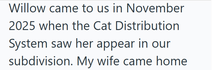 Willow came to us in November 2025 when the Cat Distribution System saw her appear in our subdivision. My wife came home