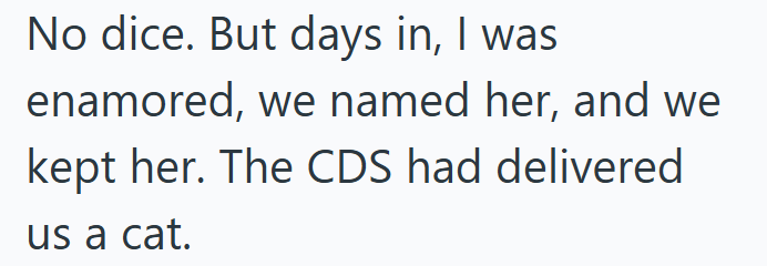 No dice. But days in, I was enamored, we named her, and we kept her. The CDS had delivered us a cat.