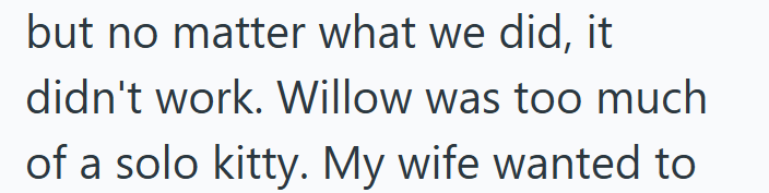 but no matter what we did, it didn't work. Willow was too much of a solo kitty. My wife wanted to