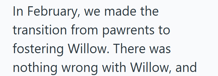 In February, we made the transition from pawrents to fostering Willow. There was nothing wrong with Willow, and