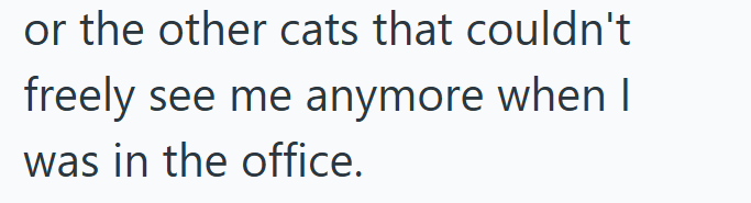 or the other cats that couldn't freely see me anymore when I was in the office.