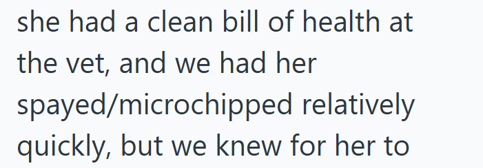 she had a clean bill of health at the vet, and we had her spayed/microchipped relatively quickly, but we knew for her to