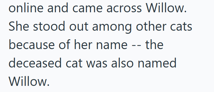online and came across Willow. She stood out among other cats because of her name -- the deceased cat was also named Willow.