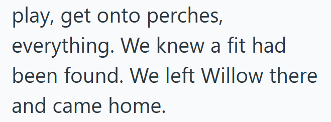 play, get onto perches, everything. We knew a fit had been found. We left Willow there and came home.