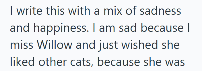 I write this with a mix of sadness and happiness. I am sad because I miss Willow and just wished she liked other cats, because she was