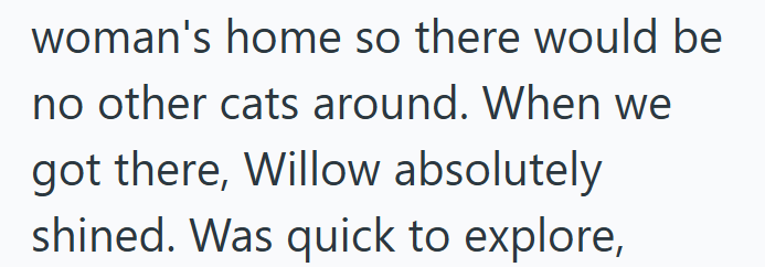 woman's home so there would be no other cats around. When we got there, Willow absolutely shined. Was quick to explore,
