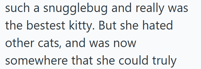 such a snugglebug and really was the bestest kitty. But she hated other cats, and was now somewhere that she could truly