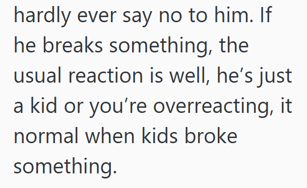 hardly ever say no to him. If he breaks something, the usual reaction is well, he's just a kid or you're overreacting, it normal when kids broke something.