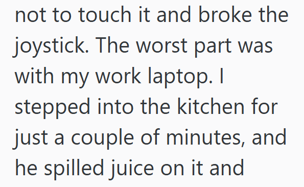 not to touch it and broke the joystick. The worst part was with my work laptop. I stepped into the kitchen for just a couple of minutes, and he spilled juice on it and