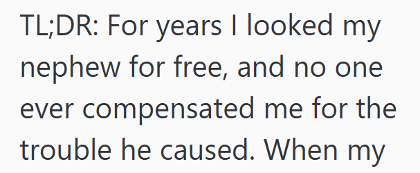 TL;DR: For years I looked my nephew for free, and no one ever compensated me for the trouble he caused. When my
