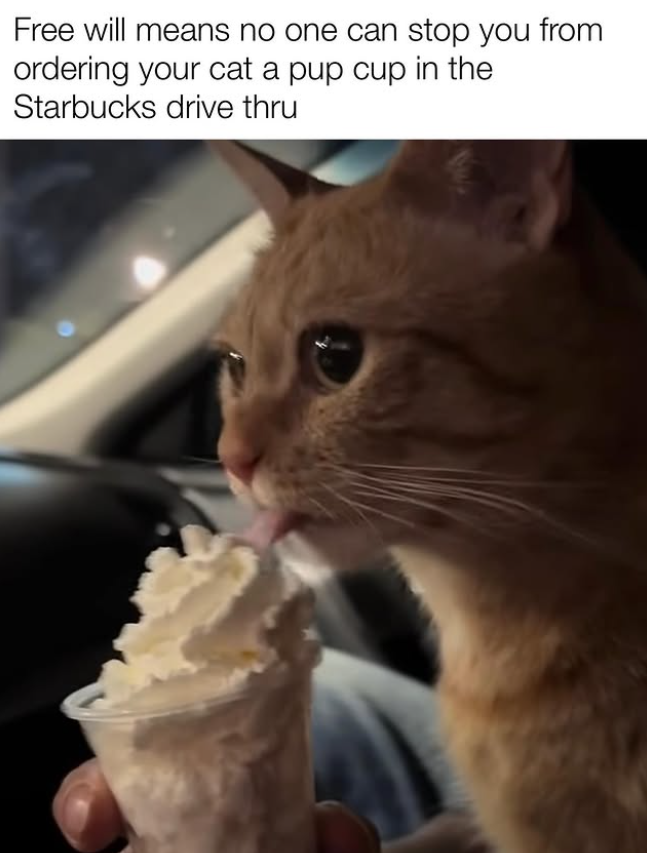 Free will means no one can stop you from ordering your cat a pup cup in the Starbucks drive thru