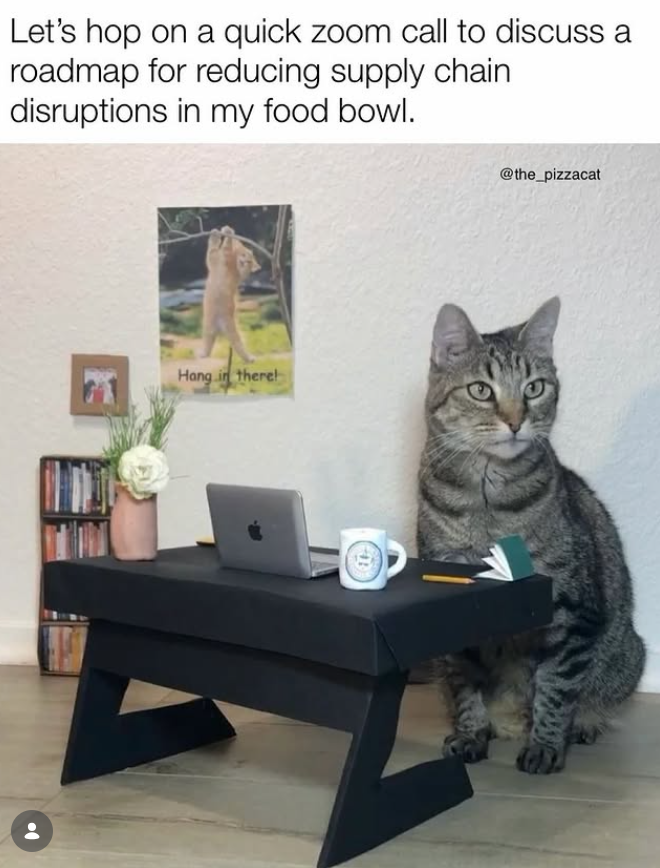 Let's hop on a quick zoom call to discuss a roadmap for reducing supply chain disruptions in my food bowl. Hang in there! @the_pizzacat