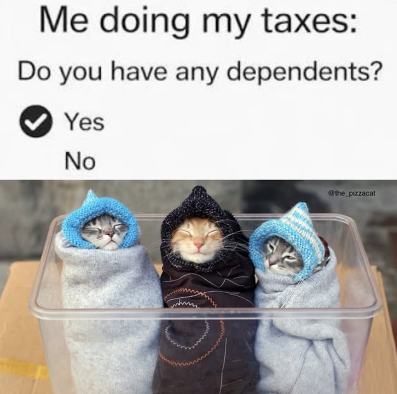 Me doing my taxes: Do you have any dependents? Yes No www @the_pizzacat