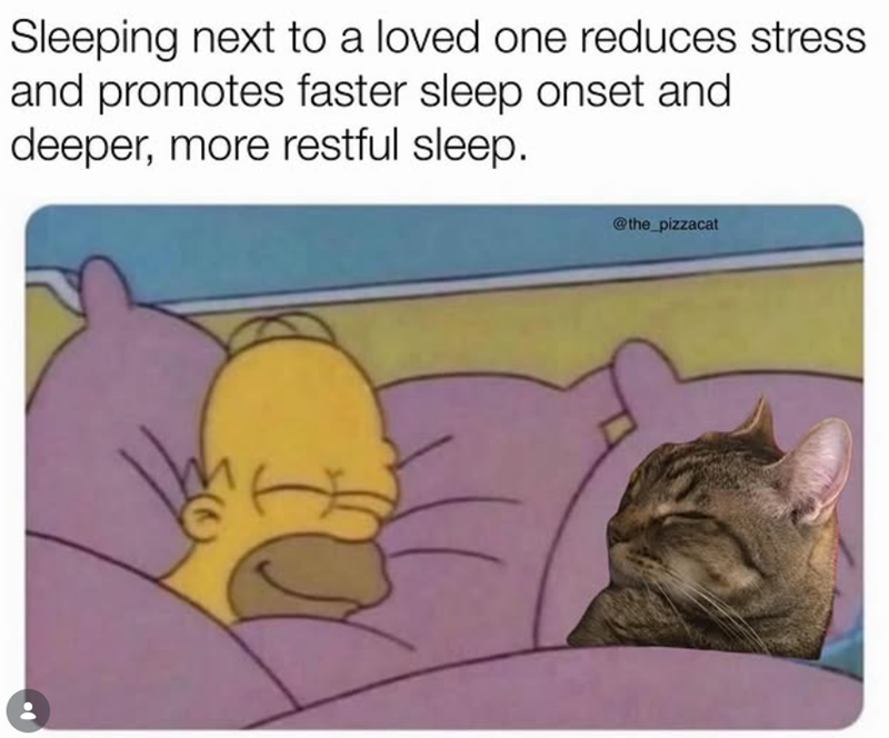 Sleeping next to a loved one reduces stress and promotes faster sleep onset and deeper, more restful sleep. @the_pizzacat