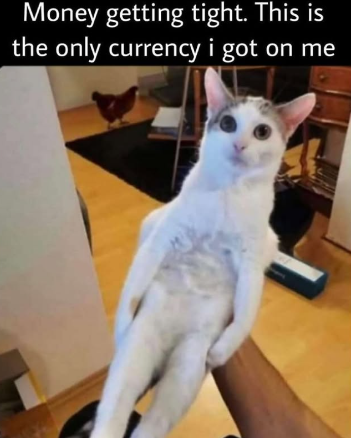 Money getting tight. This is the only currency i got on me
