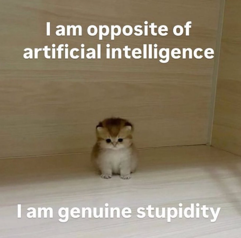 I am opposite of artificial intelligence I am genuine stupidity