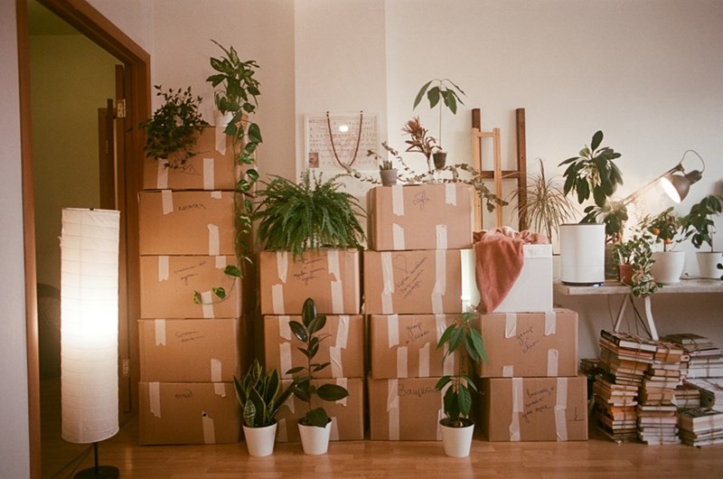 A small apartment filled with stacked moving boxes and houseplants, capturing the cramped feeling of preparing for a major move.