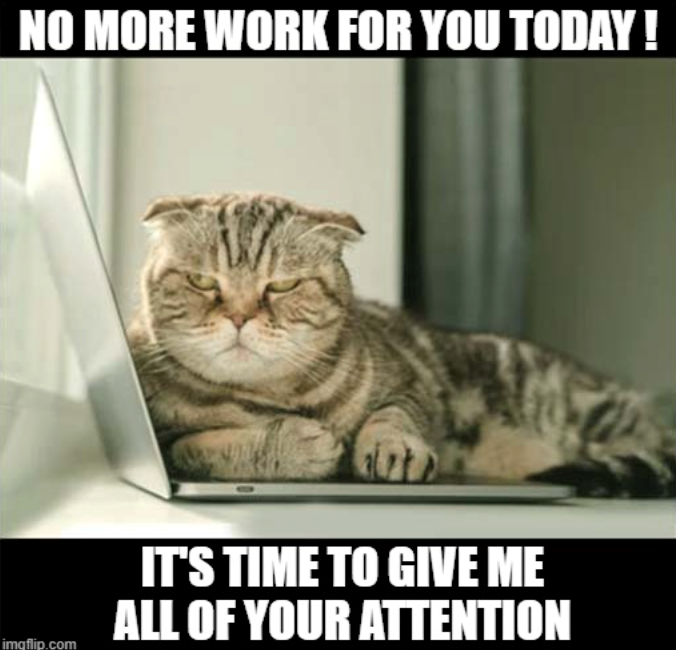 NO MORE WORK FOR YOU TODAY! imgflip.com IT'S TIME TO GIVE ME ALL OF YOUR ATTENTION