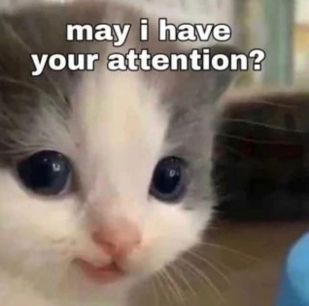 may i have your attention?