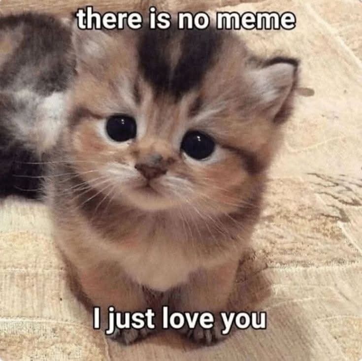 there is no meme I just love you