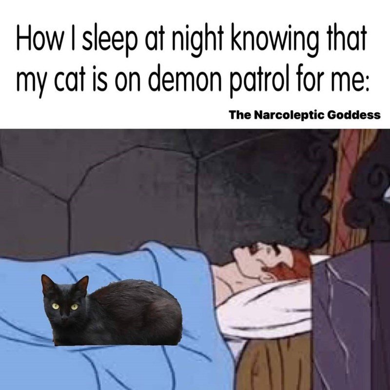 How I sleep at night knowing that my cat is on demon patrol for me: The Narcoleptic Goddess