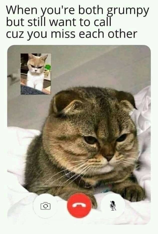 When you're both grumpy but still want to call cuz you miss each other