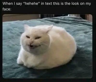 When I say "hehehe" in text this is the look on my face: