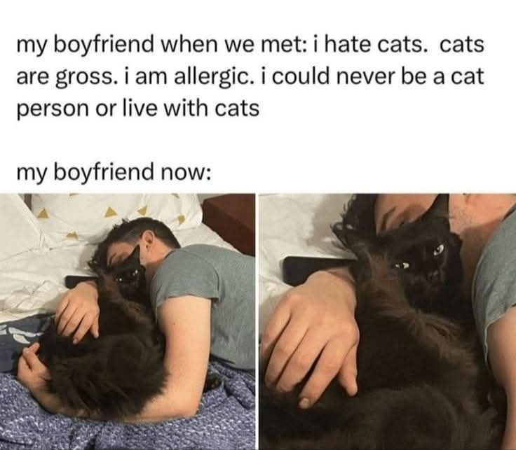 my boyfriend when we met: i hate cats. cats are gross. i am allergic. i could never be a cat person or live with cats my boyfriend now: