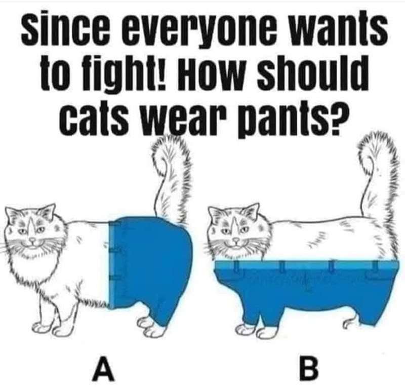 Since everyone wants to fight! How should cats wear pants? A B