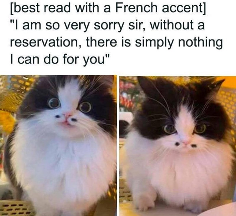 [best read with a French accent] "I am so very sorry sir, without a reservation, there is simply nothing I can do for you"