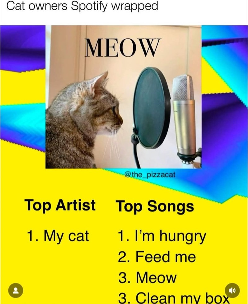 Cat owners Spotify wrapped MEOW @the_pizzacat Top Artist Top Songs 1. My cat 1. I'm hungry 2. Feed me 3. Meow 3. Clean my box