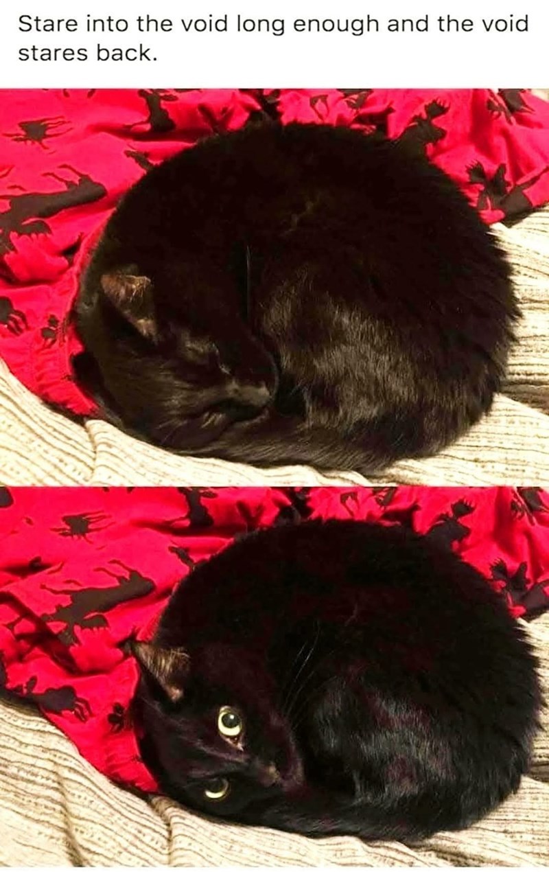 Stare into the void long enough and the void stares back.