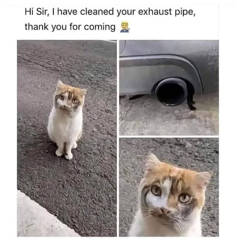 Hi Sir, I have cleaned your exhaust pipe, thank you for coming