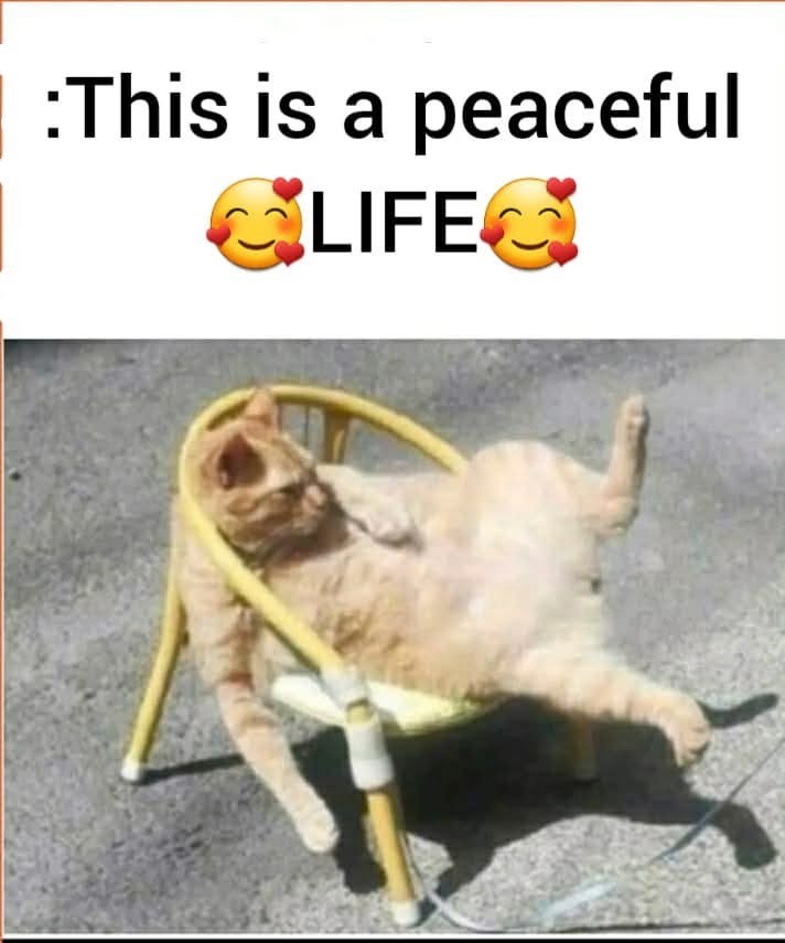 :This is a peaceful LIFE