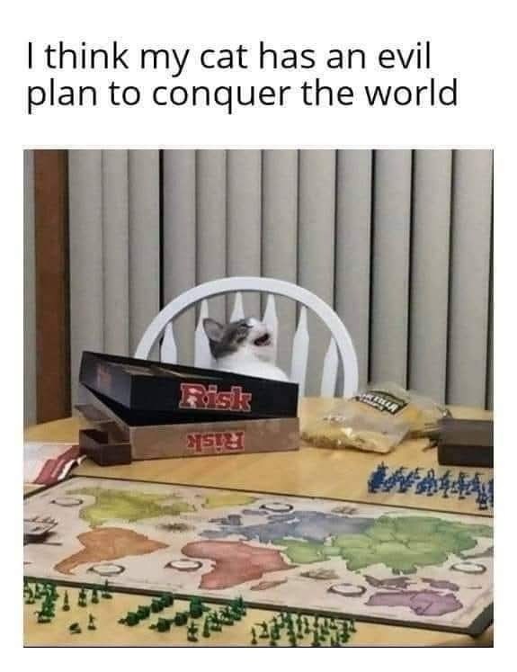 I think my cat has an evil plan to conquer the world Risk ATELL MAA