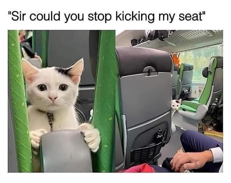 "Sir could you stop kicking my seat"