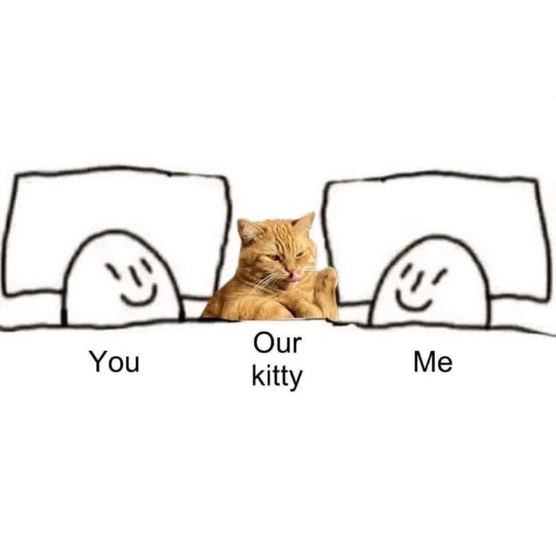 You (三 Our kitty Me