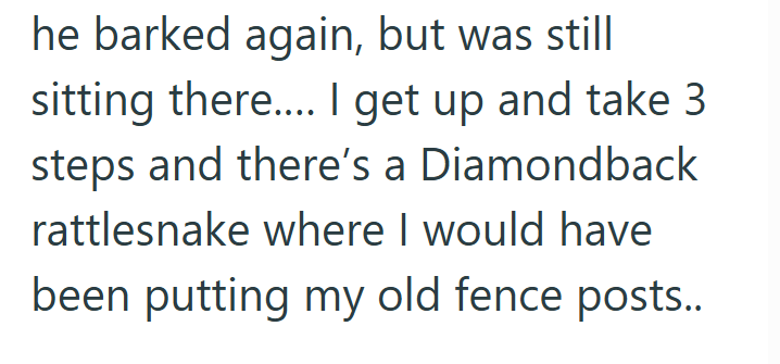 he barked again, but was still sitting there.... I get up and take 3 steps and there's a Diamondback rattlesnake where I would have been putting my old fence posts..