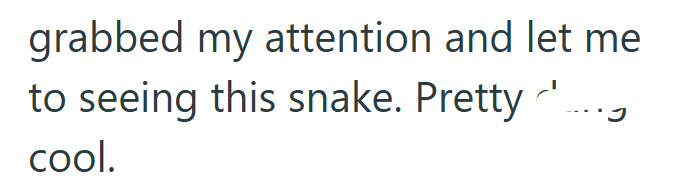 grabbed my attention and let me to seeing this snake. Pretty ' cool.