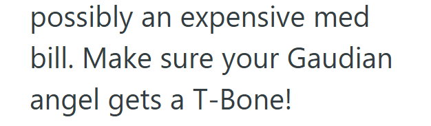 possibly an expensive med bill. Make sure your Gaudian angel gets a T-Bone!