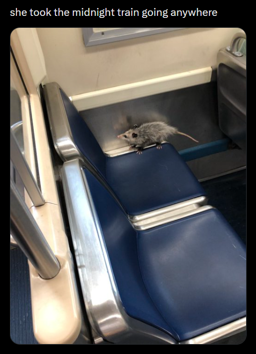 she took the midnight train going anywhere